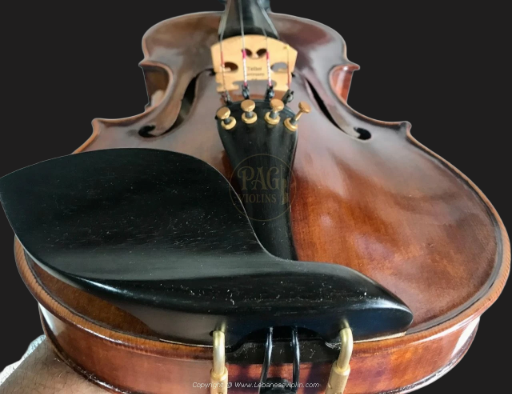 PAGVIOLIN no 135
