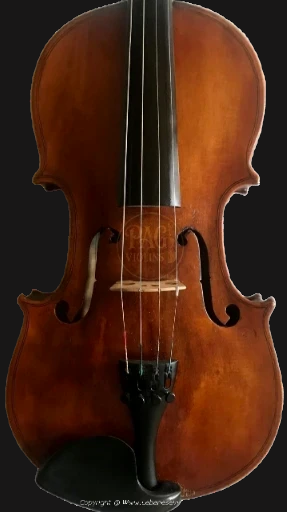PAGVIOLIN no 1