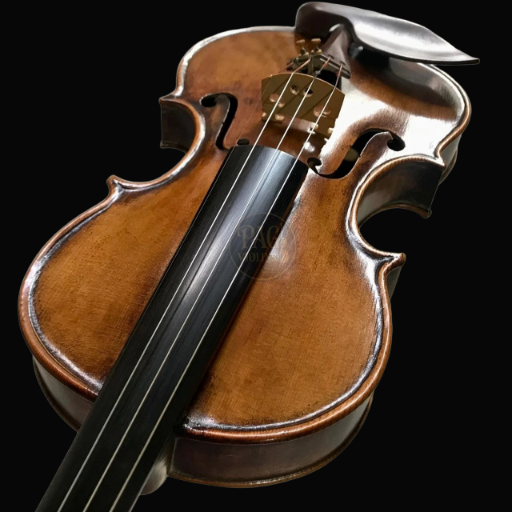 PAGVIOLIN no 56