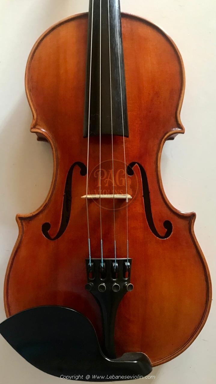 PAGVIOLIN no 133