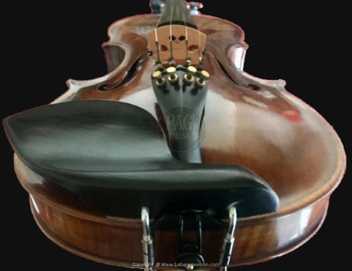 PAGVIOLIN no 28