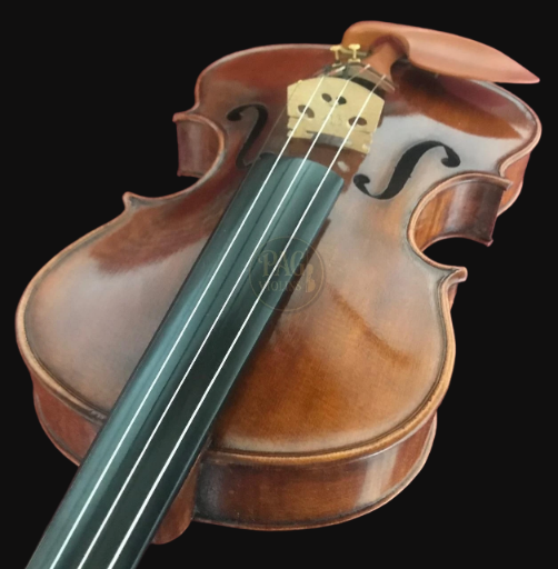 PAGVIOLIN no 123