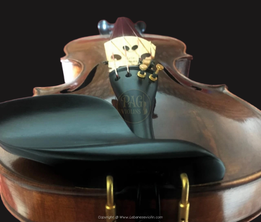 PAGVIOLIN no 129
