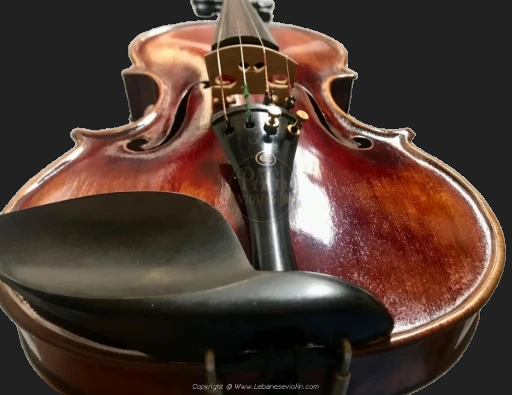 PAGVIOLIN no 74