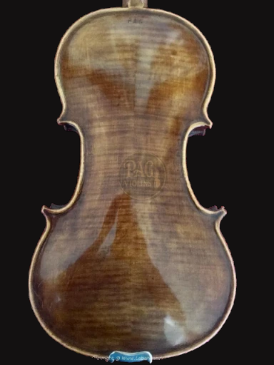 PAGVIOLIN no 28