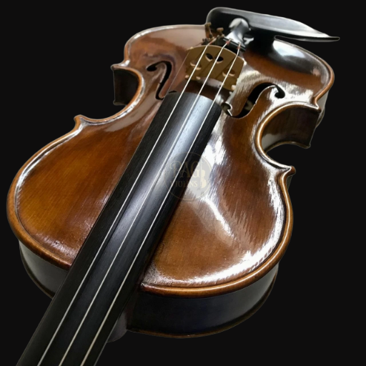PAGVIOLIN no 48