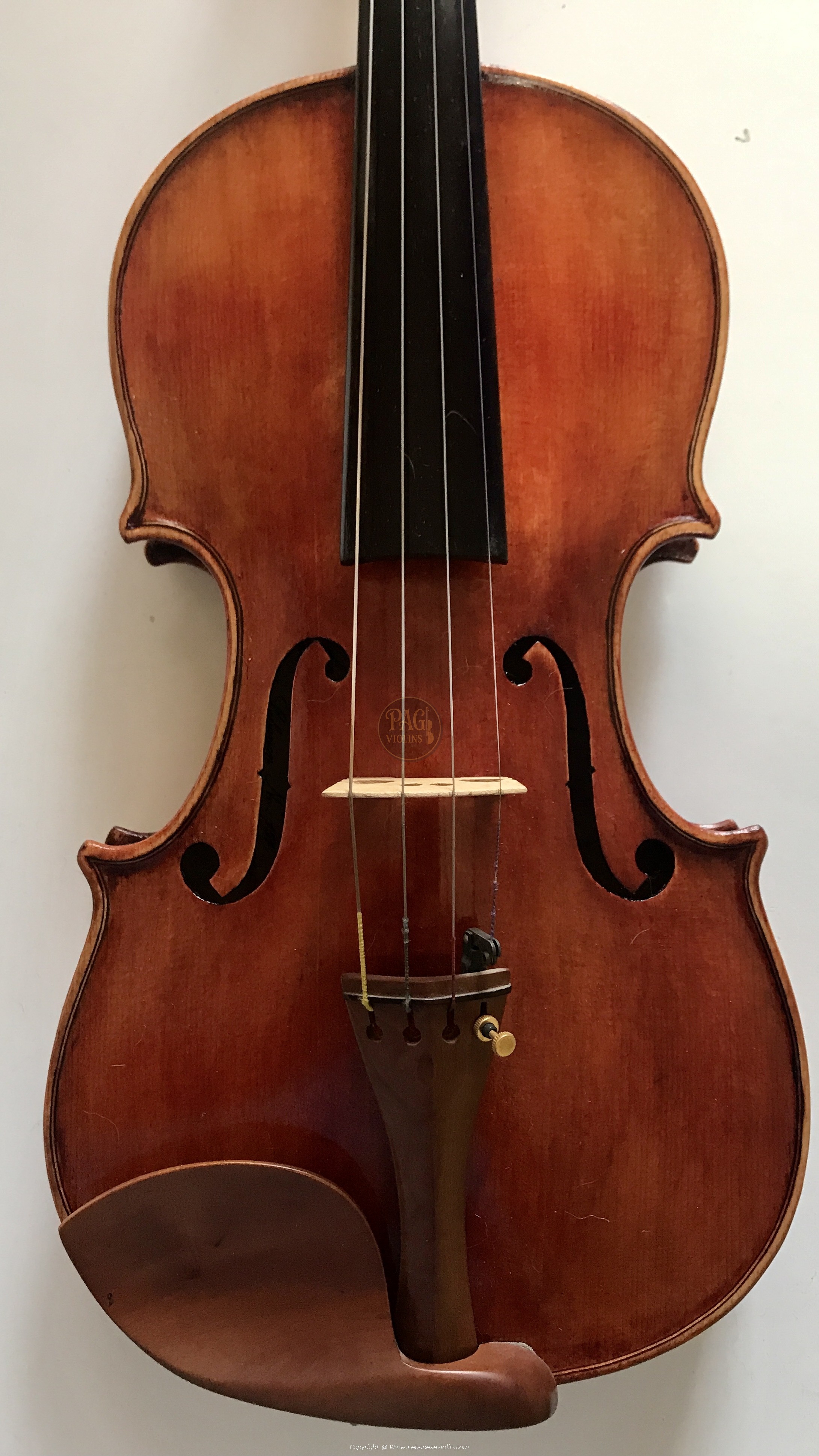 PAGVIOLIN no 151