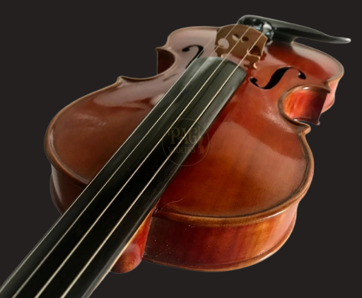 PAGVIOLIN no 133