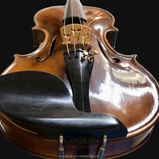 PAGVIOLIN no 48