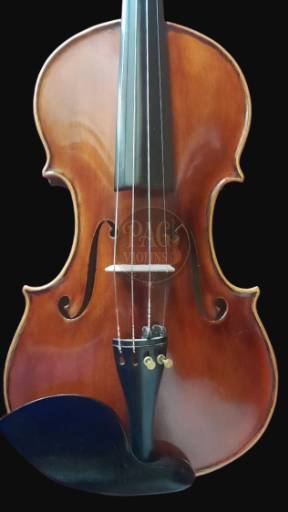 PAGVIOLIN no 85