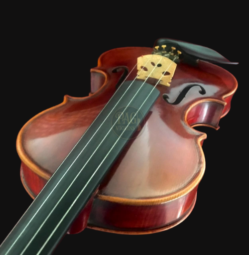 PAGVIOLIN no 19