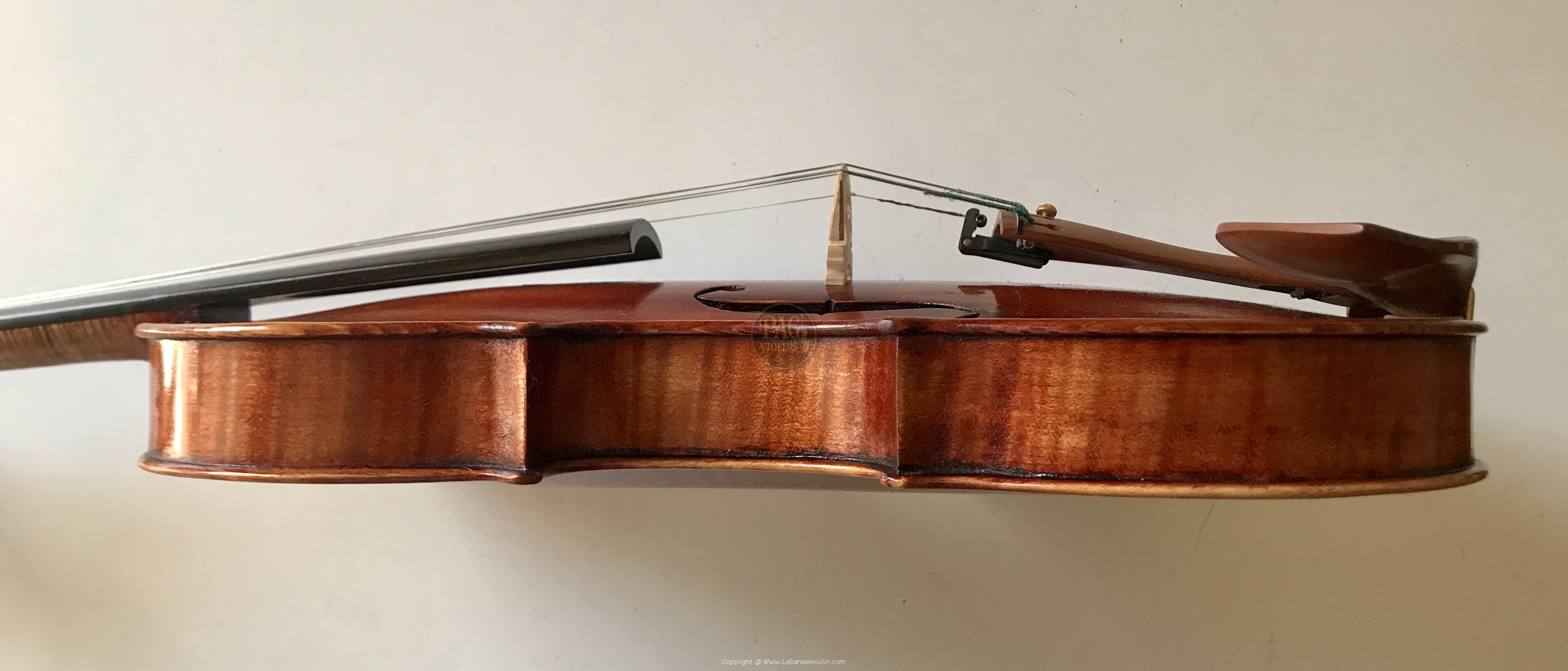 PAGVIOLIN no 144