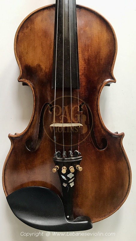 PAGVIOLIN no 81