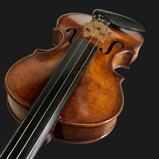 PAGVIOLIN no 110