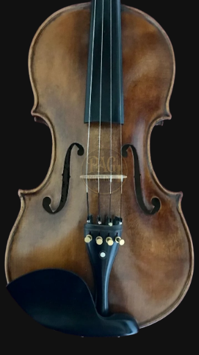 PAGVIOLIN no 138