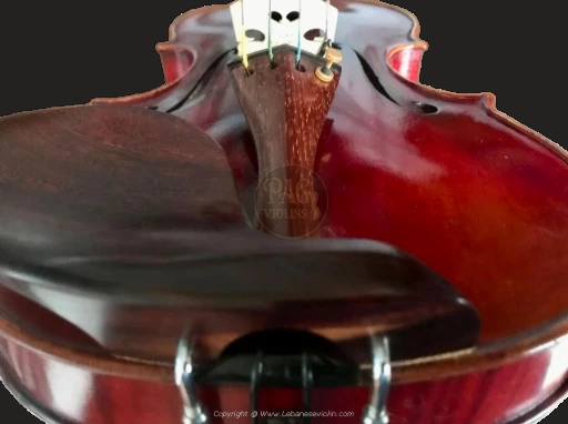 PAGVIOLIN no  152