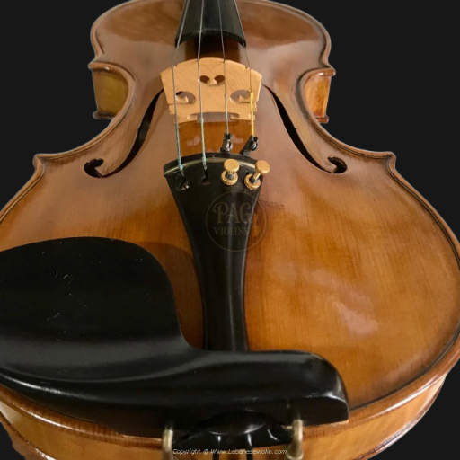 PAGVIOLIN no 55