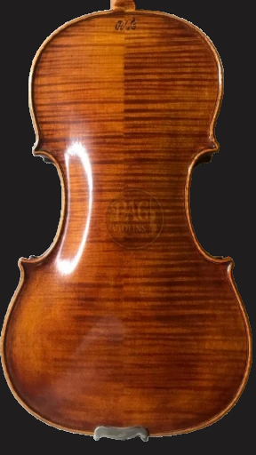 PAGVIOLIN no 109