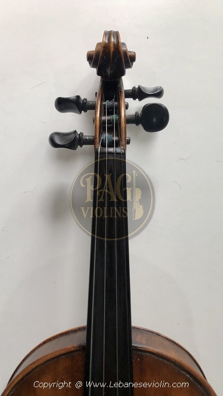 PAGVIOLIN no 81