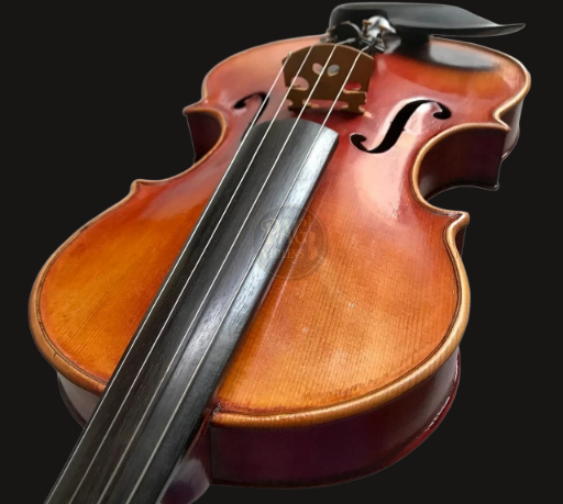 PAGVIOLIN no 73