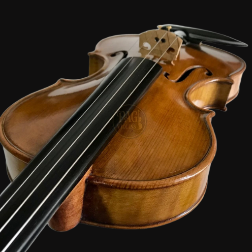 PAGVIOLIN no 55