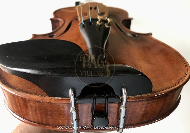 PAGVIOLIN no 117