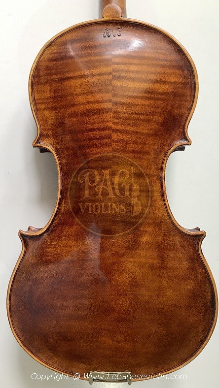 PAGVIOLIN no 81