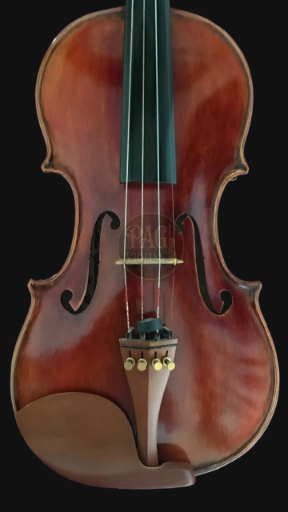 PAGVIOLIN no 126