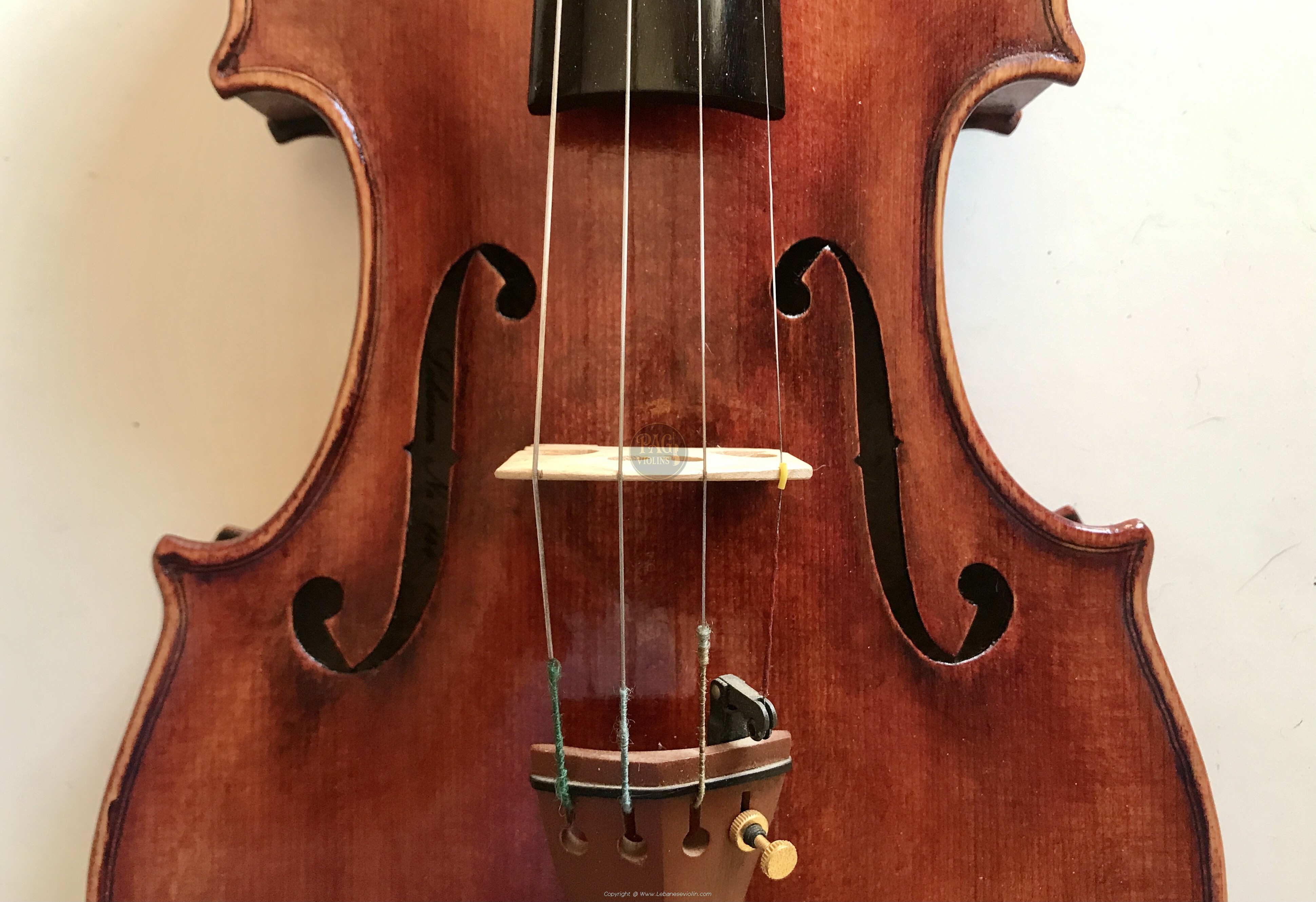 PAGVIOLIN no 144