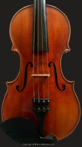 PAGVIOLIN no 133