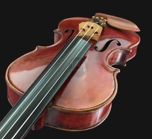 PAGVIOLIN no 126