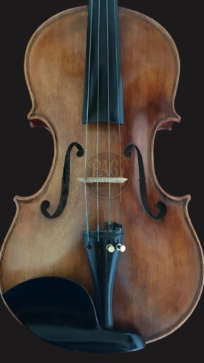 PAGVIOLIN no 121