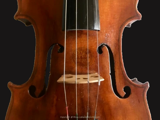 PAGVIOLIN no 1
