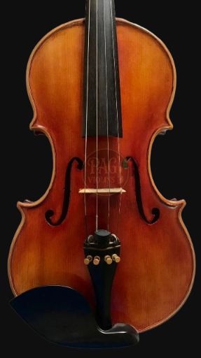 PAGVIOLIN no 73