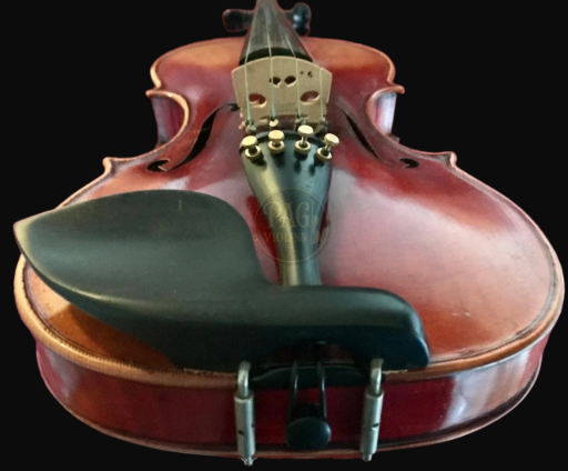 PAGVIOLIN no 5