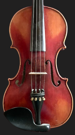 PAGVIOLIN no 5