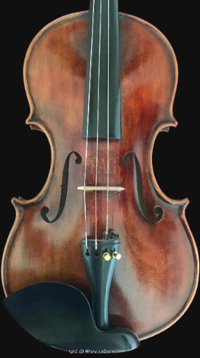 PAGVIOLIN no 65