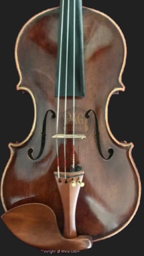 PAGVIOLIN no 64