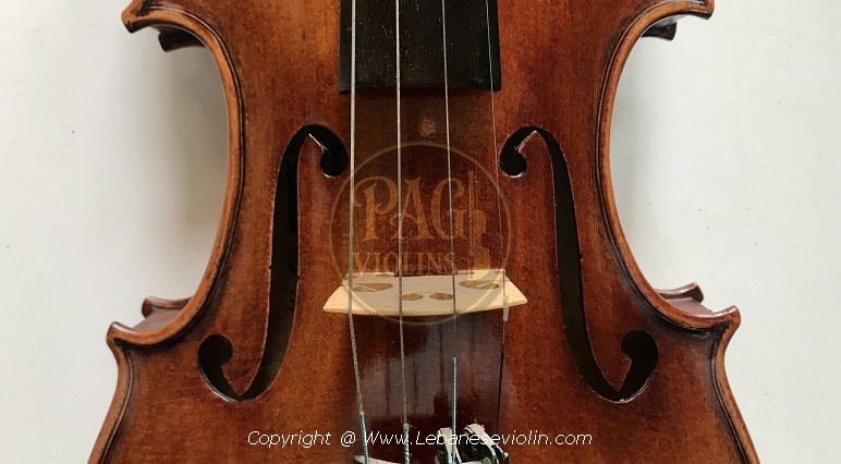 PAGVIOLIN no 117