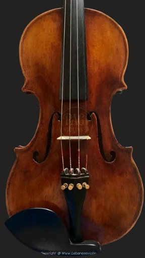 PAGVIOLIN no 16