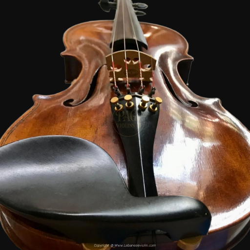 PAGVIOLIN no 16