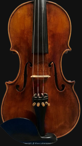 PAGVIOLIN no 135