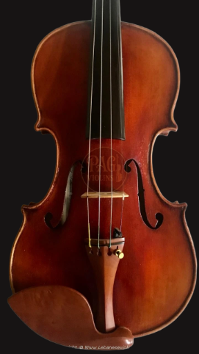PAGVIOLIN no 141