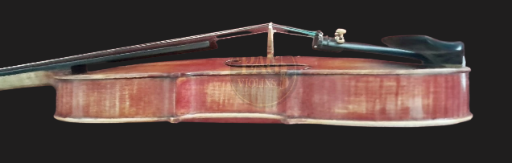 PAGVIOLIN no 116