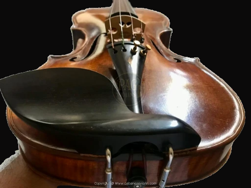 PAGVIOLIN no 109