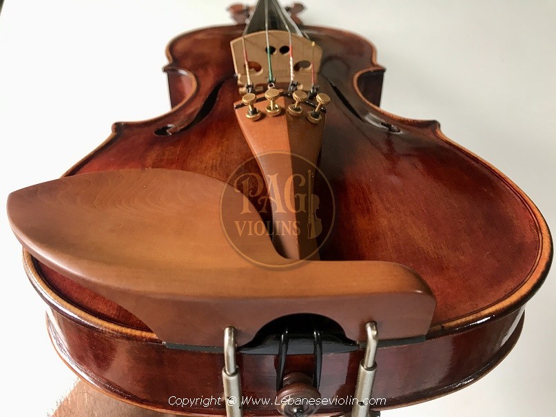 PAGVIOLIN no 134