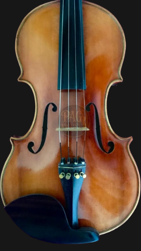 PAGVIOLIN no 71