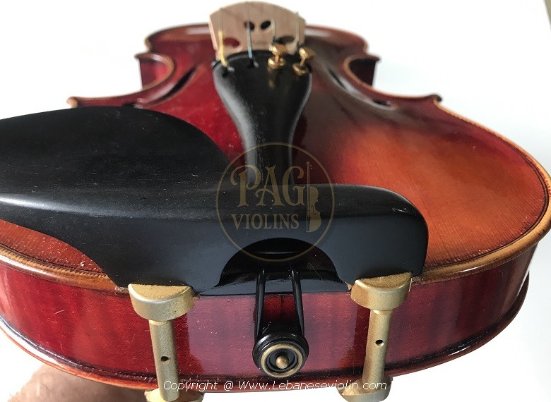 PAGVIOLIN no 62