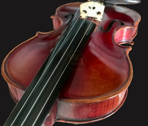 PAGVIOLIN no  152