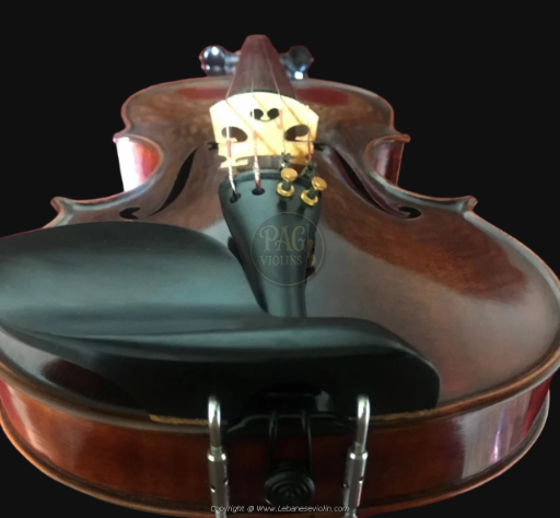 PAGVIOLIN no 65